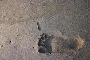 Human footprint on sand summer tropical beach at sunrise background with copyspace. photo