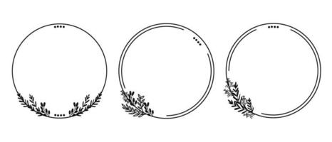 conjunto botánico dibujado a mano hojas y flores para decoración vector