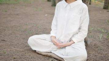 femme assise dans une pose de yoga de pin dans la forêt du parc