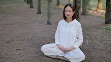 mujer asiática meditando en un lugar natural video