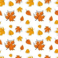 Pattern with colorful autumn leaves, outline and paint. Ideal for packaging, notebooks, school supplies, children's clothing.