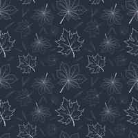 Autumn pattern with contour carved leaves on dark background vector