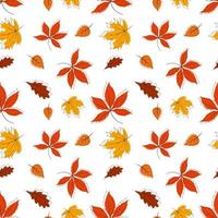 Pattern with colorful autumn leaves, outline and paint. Ideal for packaging, notebooks, school supplies, children's clothing 5