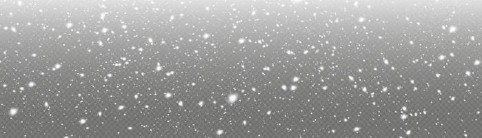 White snowflakes are flying in the air. snow background. Snow and wind. Vector heavy snowfall, snowflakes in various shapes and forms.