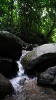 schöner natürlicher bachwasserfall und grünes glasfeld im bergkonzept reisen und entspannen in der urlaubszeit, nakhon nayok. video