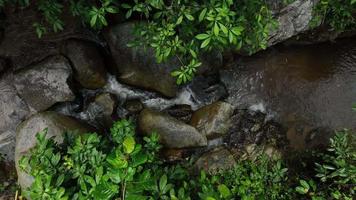 aereo Visualizza di bellissimo naturale acqua ruscello e verde campo di erba nel il selvaggio foresta montagna concetto in viaggio e rilassante su vacanza volta, Chonburi Tailandia video