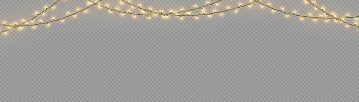 Christmas lights isolated on a transparent background. Christmas glowing garland.for the new year and christmas. light effect. Vector illustration.