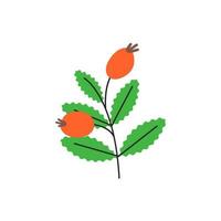 Ripe dog rose branch with berries. Green eglantine leaves with veins. Canker-rose season. Simple single brier branch silhouette. Hand drawn flat vector illustration isolated on white background