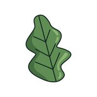 green leaf plant vector