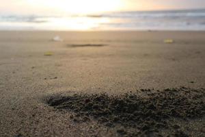 Close up nest sea crab on the beach. with brown black sand beach photo