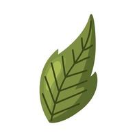 green leaf plant vector