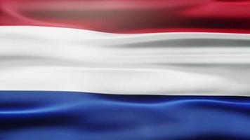 Nederland golvend vlag animatie video
