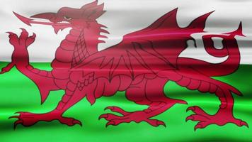 animation du drapeau ondulant du Pays de Galles video