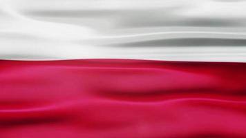 animación de bandera ondeante de polonia video