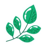 branch with leafs vector