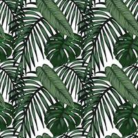 tropical leafs and tropical birds seamless design vector
