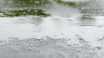 les gouttes de pluie frappent sur le toit, fortes pluies, averses. le toit plat du bâtiment est recouvert d'un matériau imperméable qui protège de la pluie. ruberoïde, toiture enroulée et matériau d'étanchéité. video