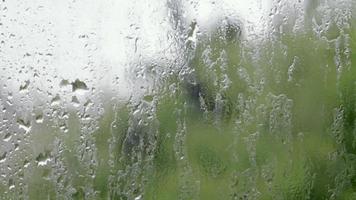 forte pluie. gouttes de pluie sur la vitre un jour d'été. mise au point sélective, faible profondeur de champ. des gouttes d'eau tombent sur une vitre mouillée. verre plein de gouttes lors d'une averse. panorama. video