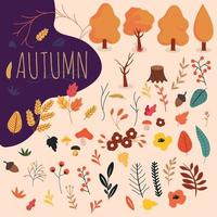 Autumn bundle of forest design elements vector