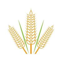 Wheat Logo template vector illustration design