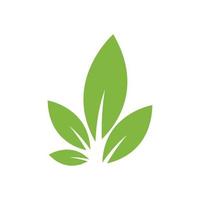 hoja verde logo ecología naturaleza elemento vector icono