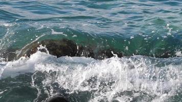 mare onde rotolamento al di sopra di un' roccia a il nero mare spiaggia. video