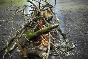 hoguera en el bosque. quema de ramas secas. foto