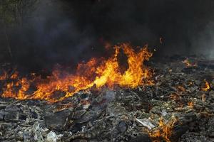 fuego y humo negro. incendio en vertedero. humo en el bosque. vertedero ilegal. foto