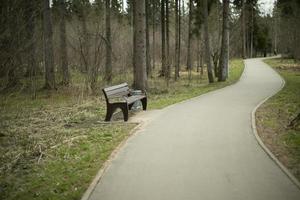 Place to walk. Asphalted road for pedestrians. photo