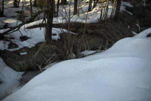 Snow in winter in evening. Frozen ground. Winters were coming. photo