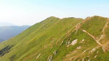 vista cinematográfica aérea grupo de caminhantes em caminhada de distância na trilha ao ar livre no pico do parque nacional lagodekhi. estilo de vida ativo ao ar livre com amigos lazer video