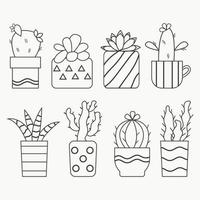 conjunto de cactus y suculentas aislados dibujados a mano. vector