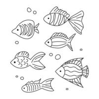 a group of different simple fish with patterns. in the doodle style vector