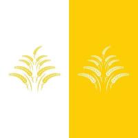 Agriculture wheat vector