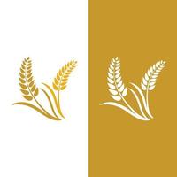 Agriculture wheat vector