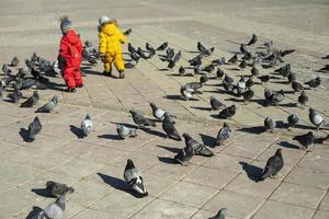 Children and pigeons. Children play with birds in square. photo