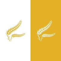 Agriculture wheat vector