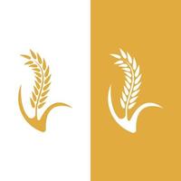 Agriculture wheat vector