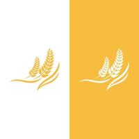 Agriculture wheat vector