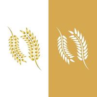 Agriculture wheat vector