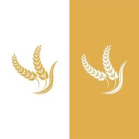 Agriculture wheat vector