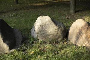 Stones in park. Cobblestones lie on grass. photo