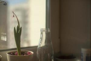 planta de casa. artículos en la ventana. foto