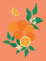 Modern abstract fruit advertisement on colorful background. Oranges with leaves and flowers. Abstract art botanical vector background. Eco friendly poster design template.