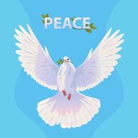 white dove peace vector