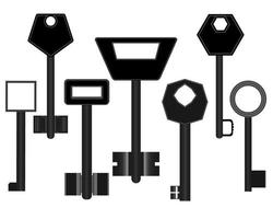 different keys to the doors on a white background vector