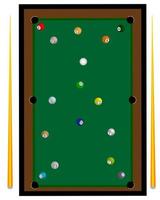 billiard table and two cue balls on the table vector