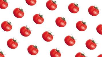 fondo de animación minimalista de arte vegano. patrón de tomate fresco rojo apareciendo movimiento aislado en blanco. pancarta decorativa creativa de alimentos con ingredientes culinarios saludables. video