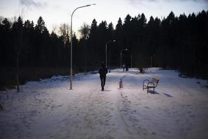 Park in winter in evening. Person walks along park path in cold weather. photo