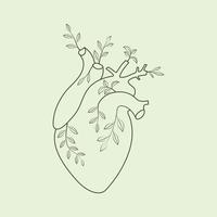 Lined human heart with plant and leaves illustration vector art